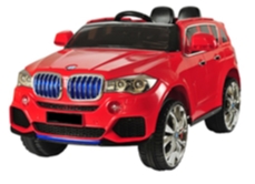  Barty BMW X5 555