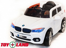  Toyland BMW X5_