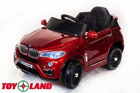  Toyland BMW X6