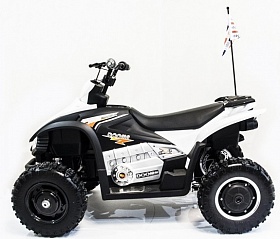  DMD-278A Dongma ATV Brushless 12V 