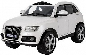  RiverToys Audi Q5_