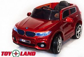  Toyland BMW X5_ 