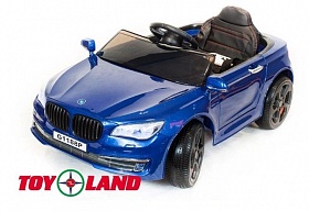  Toyland BMW 5_ ()