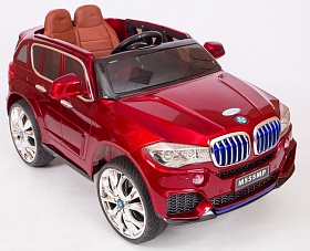  Barty BMW X5 555_ 