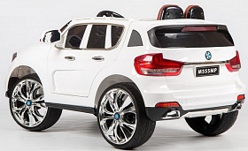  Barty BMW X5 555