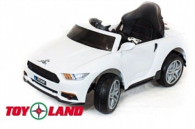  Toyland Ford Mustang_