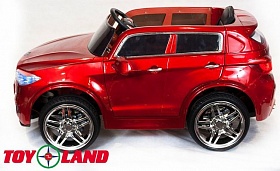  Toyland BMW X5 2