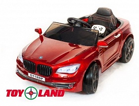  Toyland BMW 5_ ()