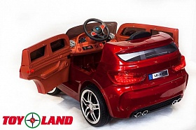  Toyland BMW X5 3