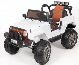  Barty Jeep 010  _