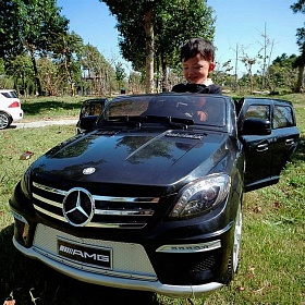  Barty Mersedes Benz ML63 AMG   