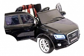  RiverToys Audi Q5