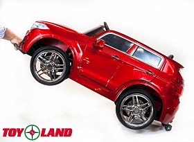  Toyland BMW X5 6