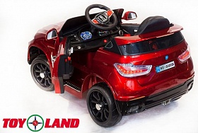  Toyland BMW X6 4