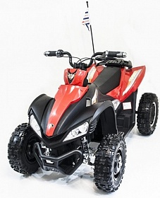  DMD-278A Dongma ATV Brushless 12V _