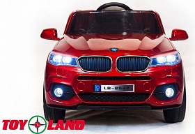  Toyland BMW X5